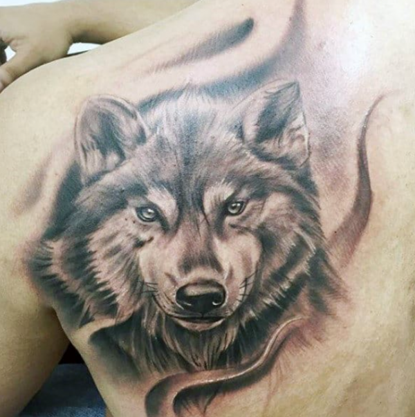 Serigala dengan tatapan tajam